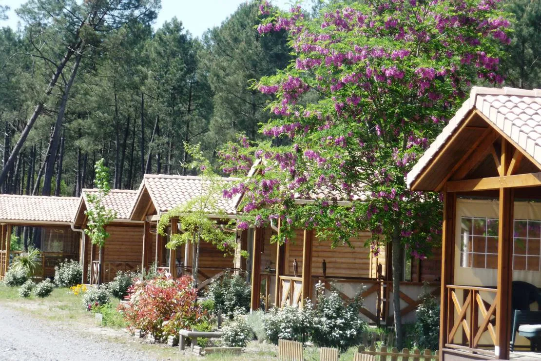 camping-landes-oceanes-saint-michel-escalus-caqbx