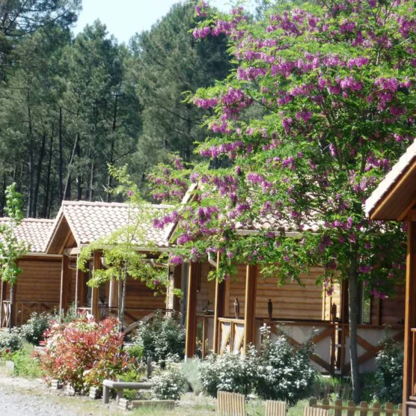 camping-landes-oceanes-saint-michel-escalus-caqbx