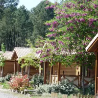 camping-landes-oceanes-saint-michel-escalus-caqbx