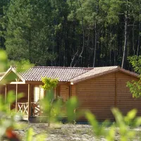 camping-landes-oceanes-saint-michel-escalus-nzfto