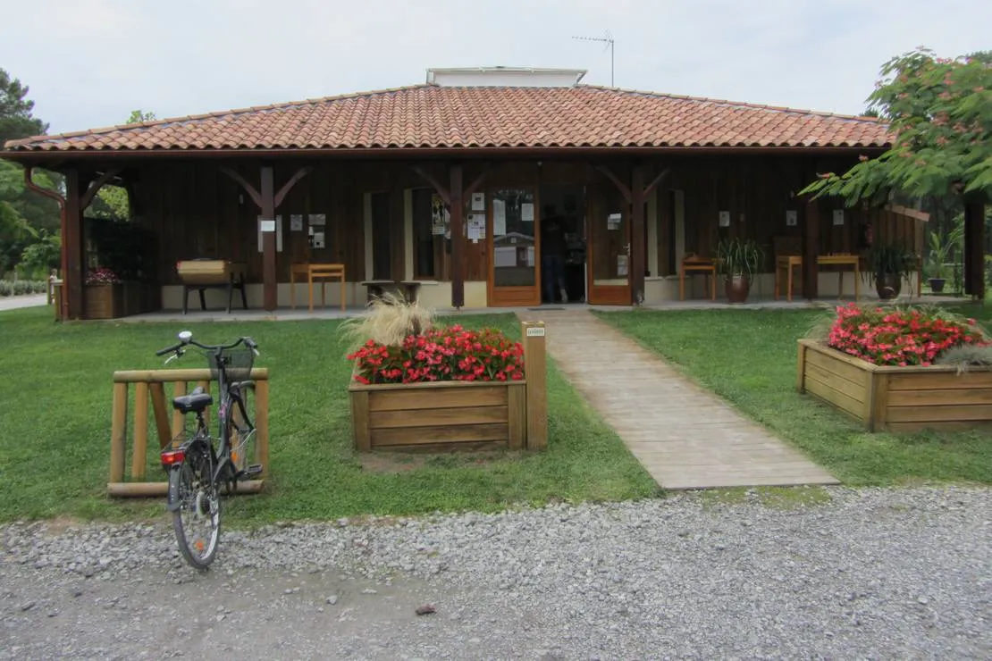 camping-landes-oceanes-saint-michel-escalus-ouuqy