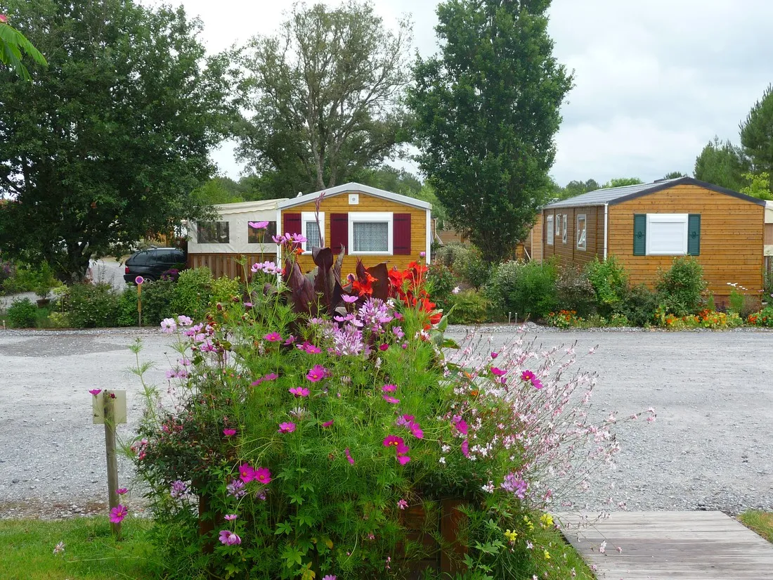 camping-landes-oceanes-saint-michel-escalus-wplwl