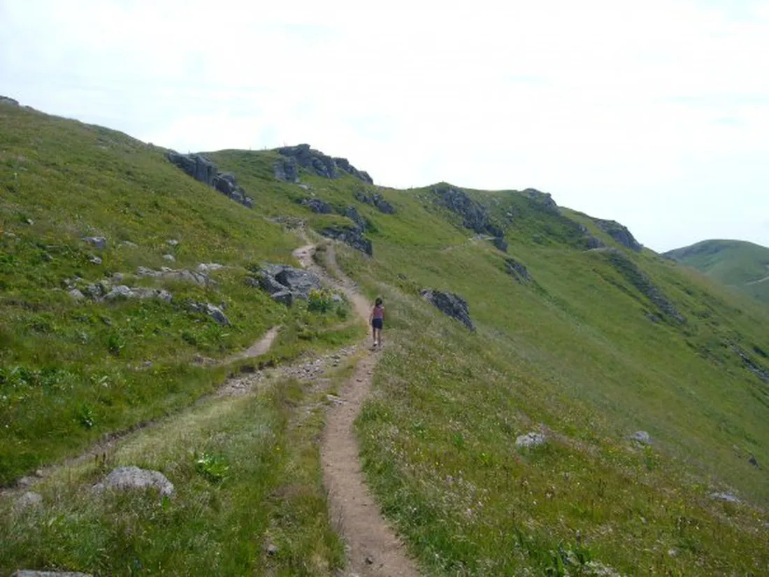 la-presquile-du-puech-des-ouilhes-lacapelle-viescamp-cantal-4jutb