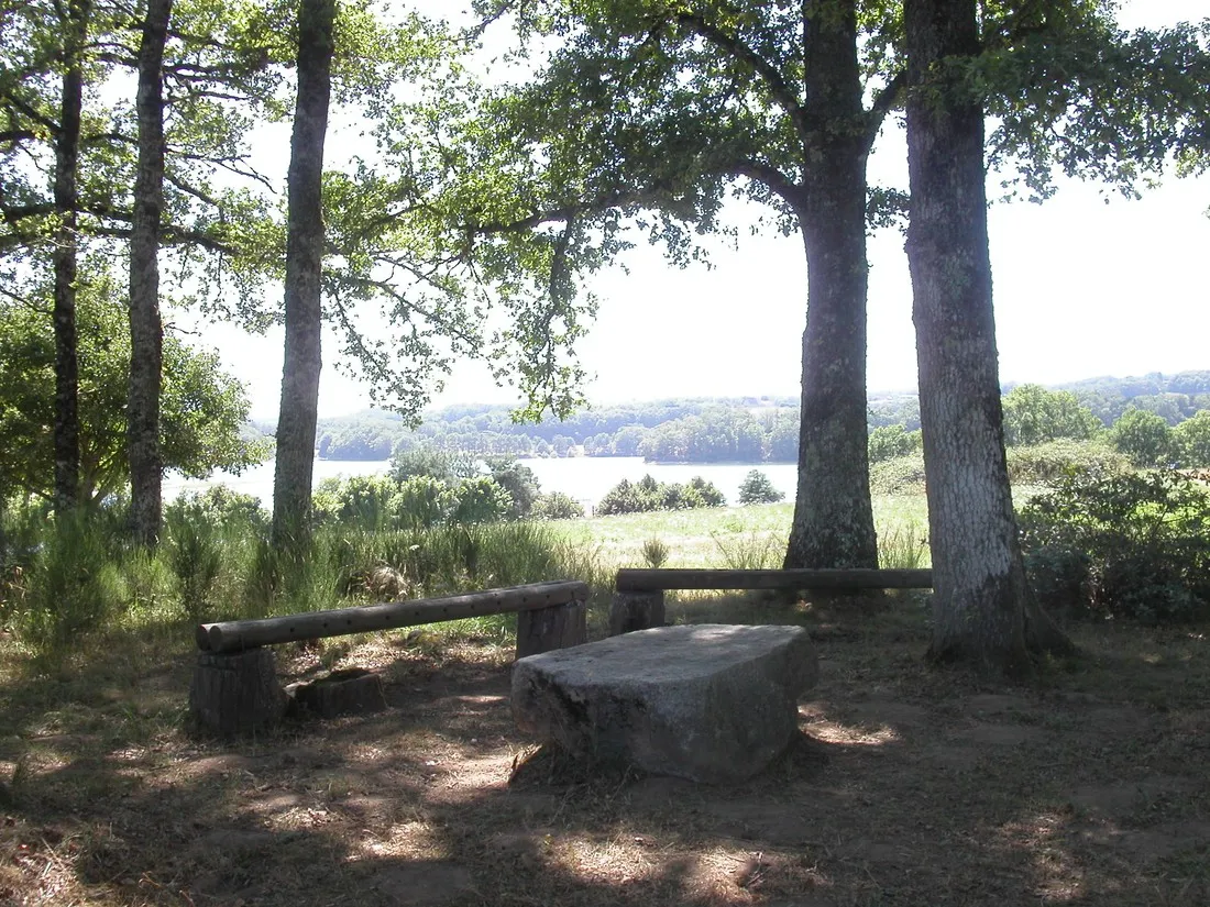 la-presquile-du-puech-des-ouilhes-lacapelle-viescamp-cantal-rgghv