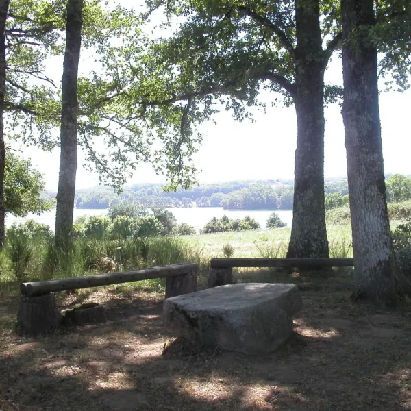 la-presquile-du-puech-des-ouilhes-lacapelle-viescamp-cantal-rgghv