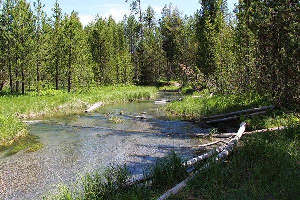 fish-creek-road-dispersed-camping-island-park-tj5zg