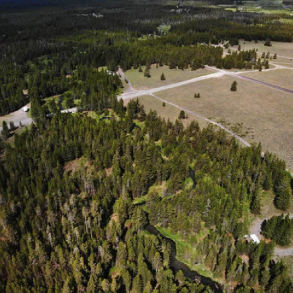 fish-creek-road-dispersed-camping-island-park-woh1f