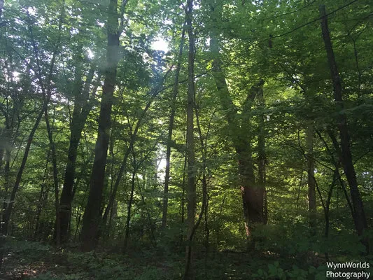 new-york-city-north-newburgh-koa-plattekill-mu92l