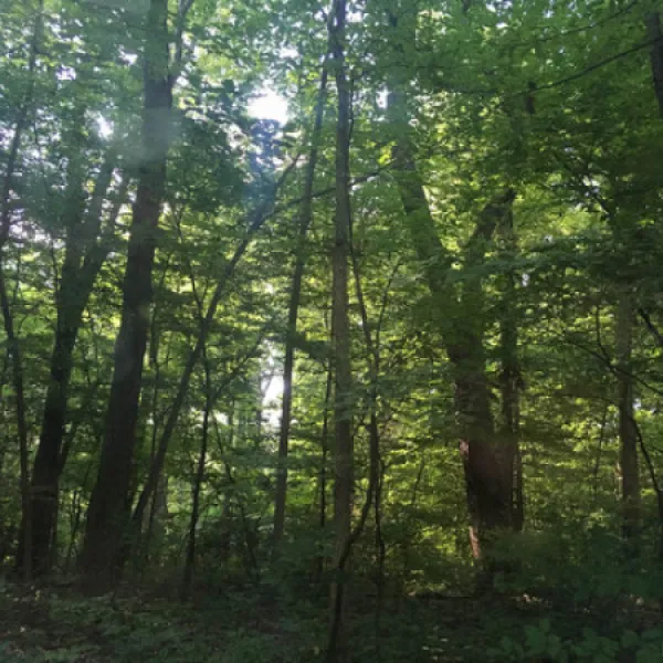 new-york-city-north-newburgh-koa-plattekill-mu92l