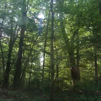 new-york-city-north-newburgh-koa-plattekill-mu92l