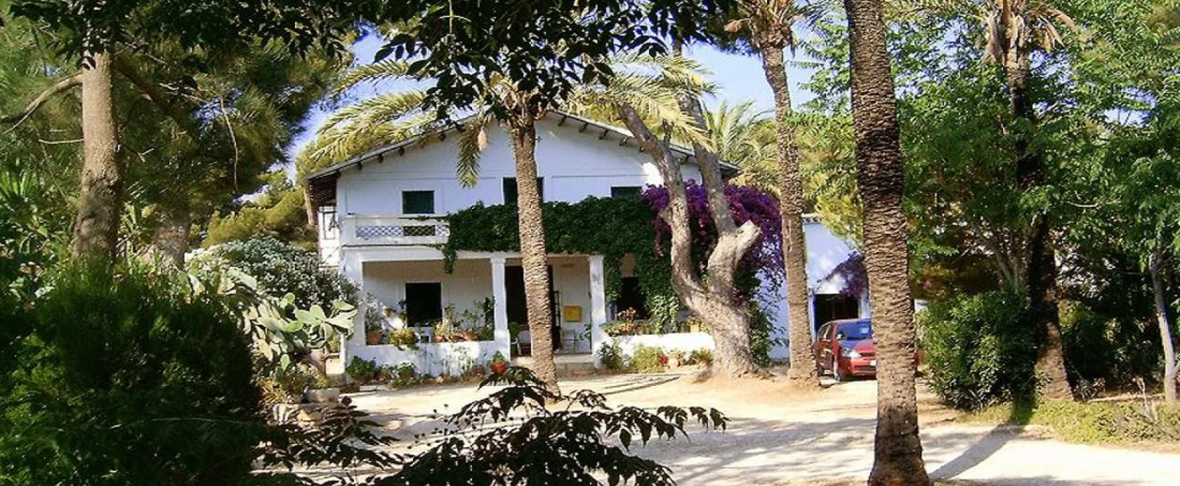 Los Pinos