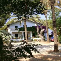 los-pinos-denia-a8xho