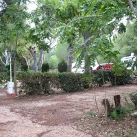 los-pinos-denia-dr2pn