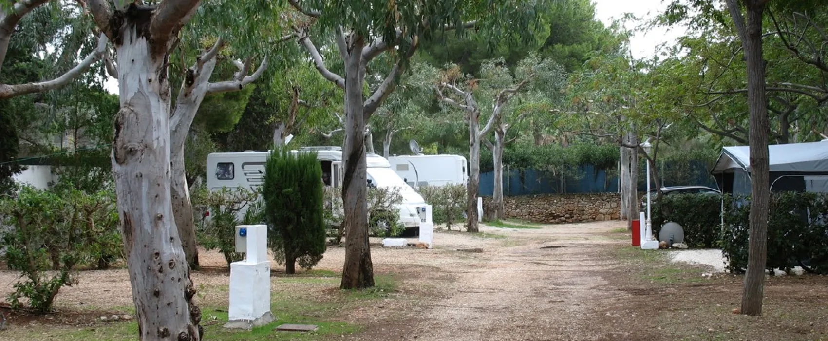 Los Pinos
