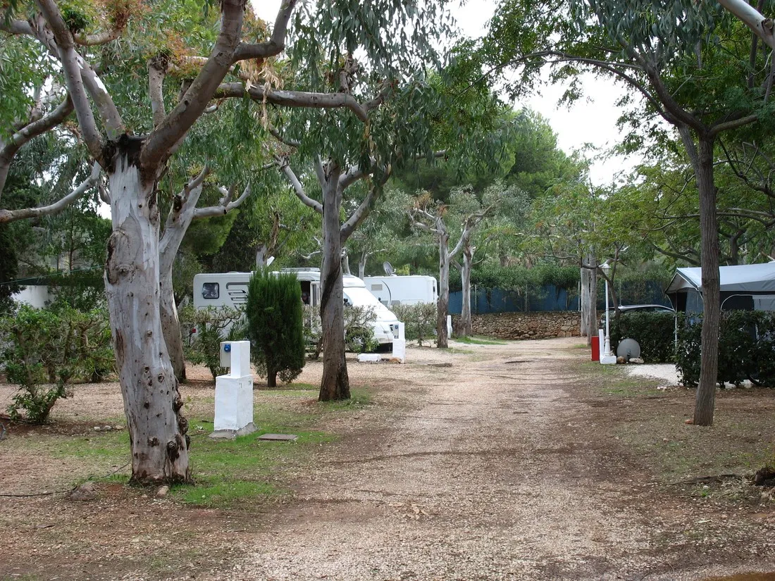 los-pinos-denia-zmstr
