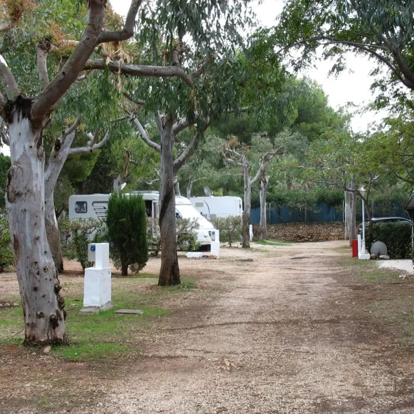 los-pinos-denia-zmstr