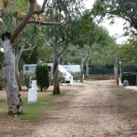 los-pinos-denia-zmstr