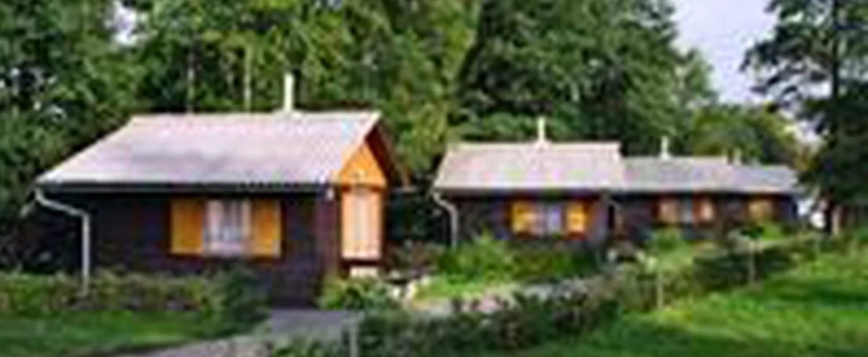 Camping Borová