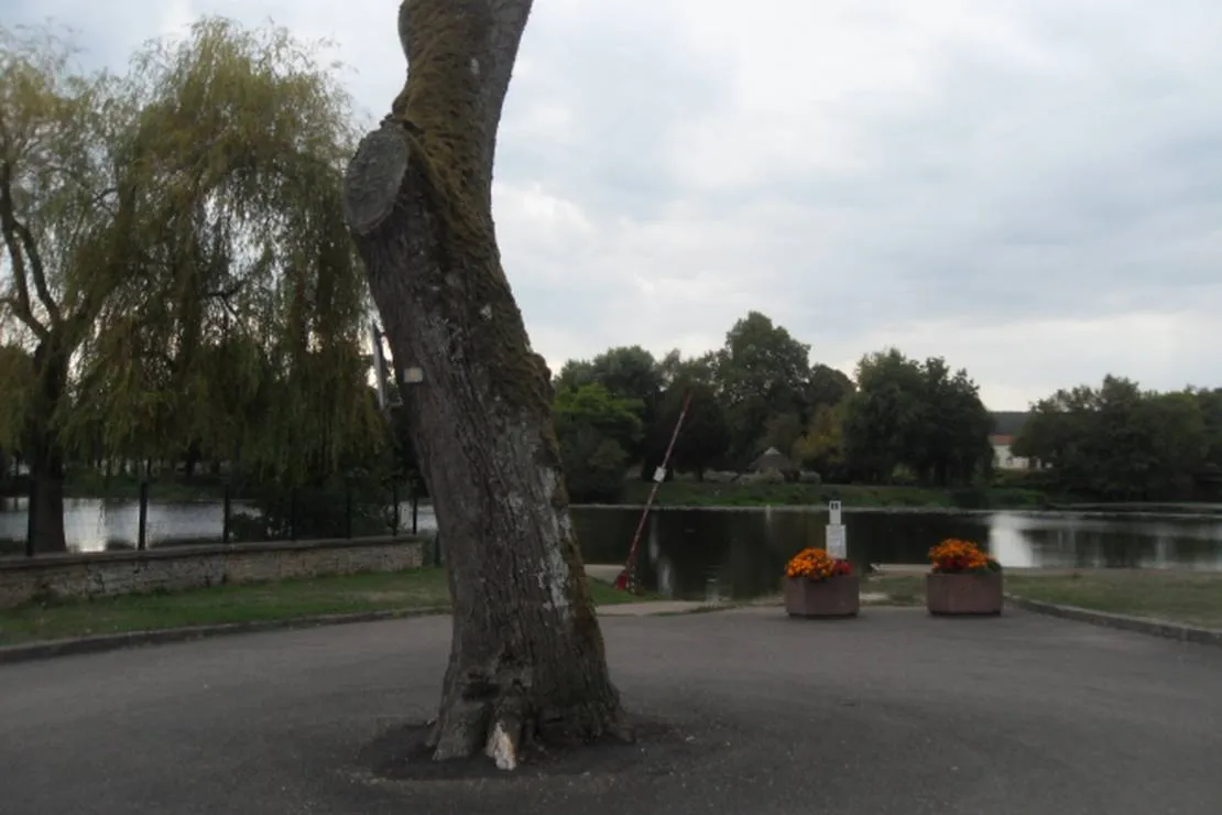 camping-la-saone-jolie-scey-sur-saone-et-st-albin-6hnzw