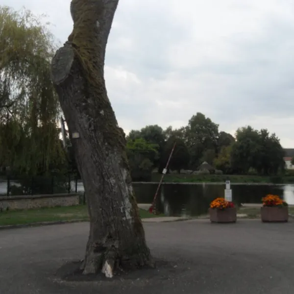 camping-la-saone-jolie-scey-sur-saone-et-st-albin-6hnzw
