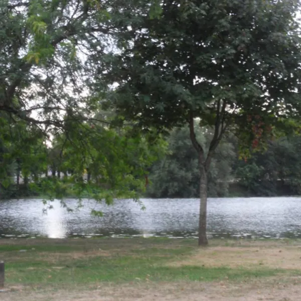 camping-la-saone-jolie-scey-sur-saone-et-st-albin-lbqvy