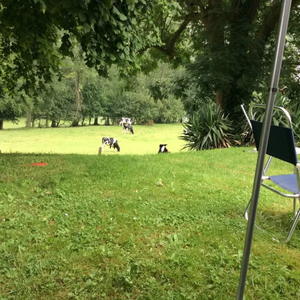 municipal-des-fontaines-eu-1wdy8