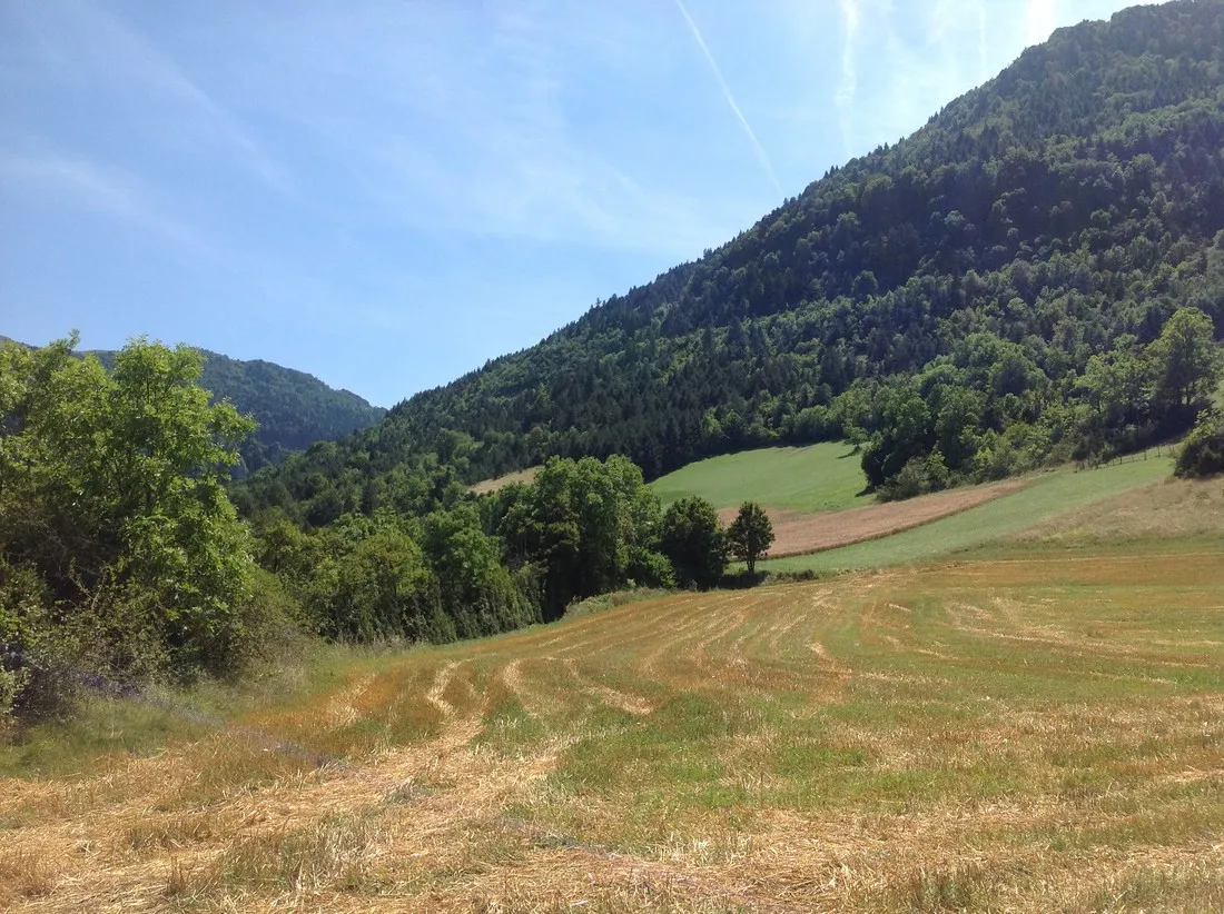 belle-roche-lalley-hrwmj