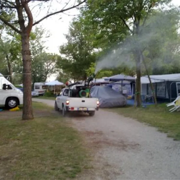 camping-capalonga-bibione-pineda-mvqem
