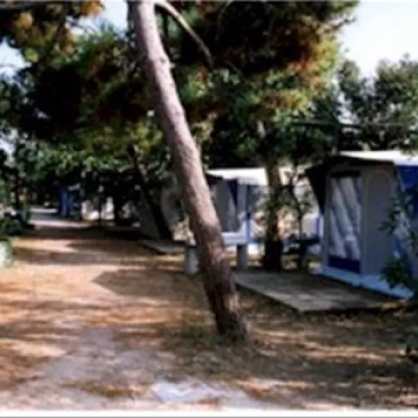 campeggio-golden-garden-marina-di-minturno-3awga