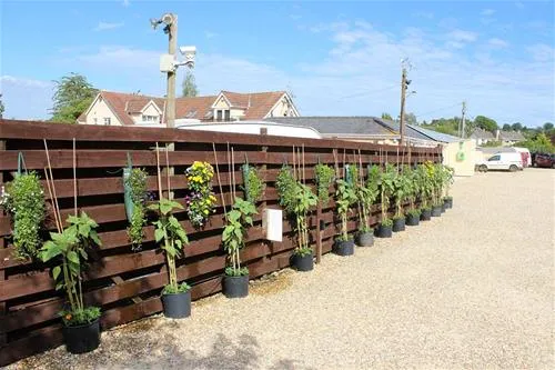 bath-chew-valley-caravan-park-bristol-swngo