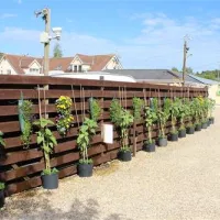 bath-chew-valley-caravan-park-bristol-swngo