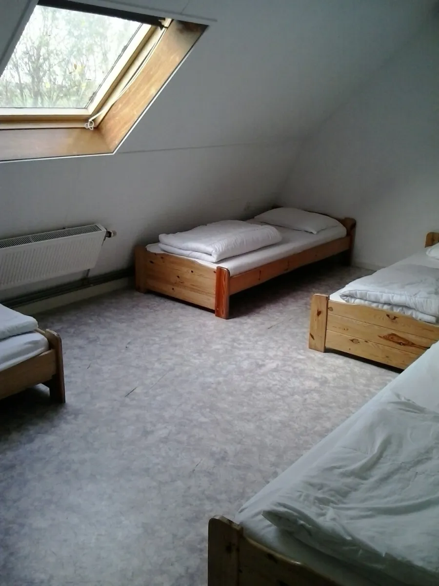 recreatieboerderij-hilarides-pingjum-lufes
