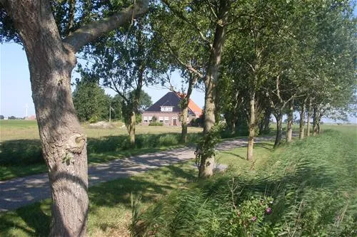 recreatieboerderij-hilarides-pingjum-u2ly8