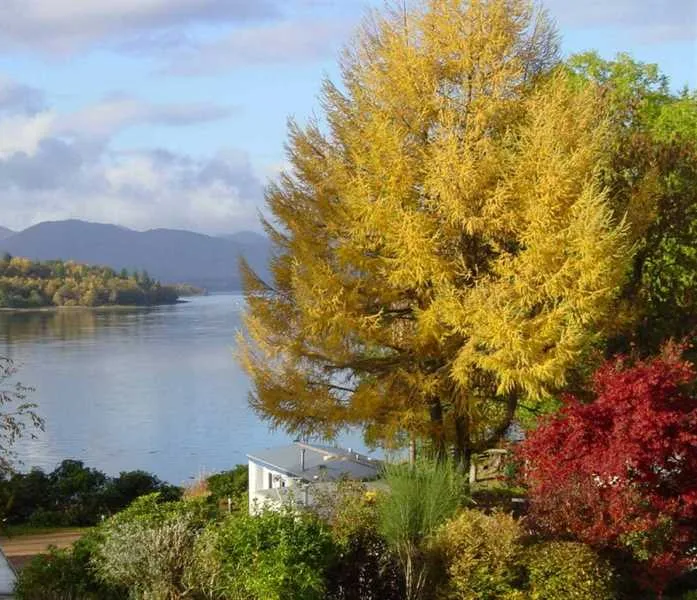 linnhe-lochside-holidays-fort-william-h4aef