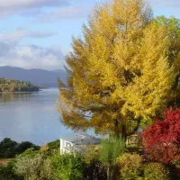 linnhe-lochside-holidays-fort-william-h4aef