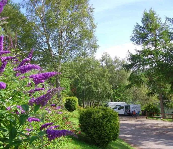 linnhe-lochside-holidays-fort-william-pmt9a