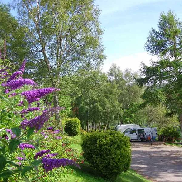 linnhe-lochside-holidays-fort-william-pmt9a