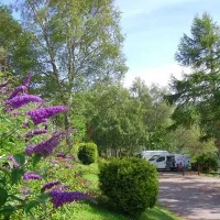 linnhe-lochside-holidays-fort-william-pmt9a