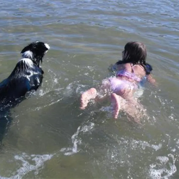 camping-aire-naturelle-de-camping-grandcamp-maisy-k2ajw