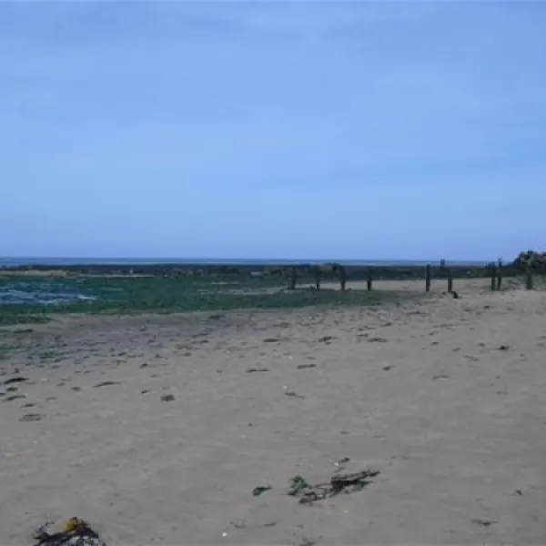 camping-aire-naturelle-de-camping-grandcamp-maisy-qxv2u