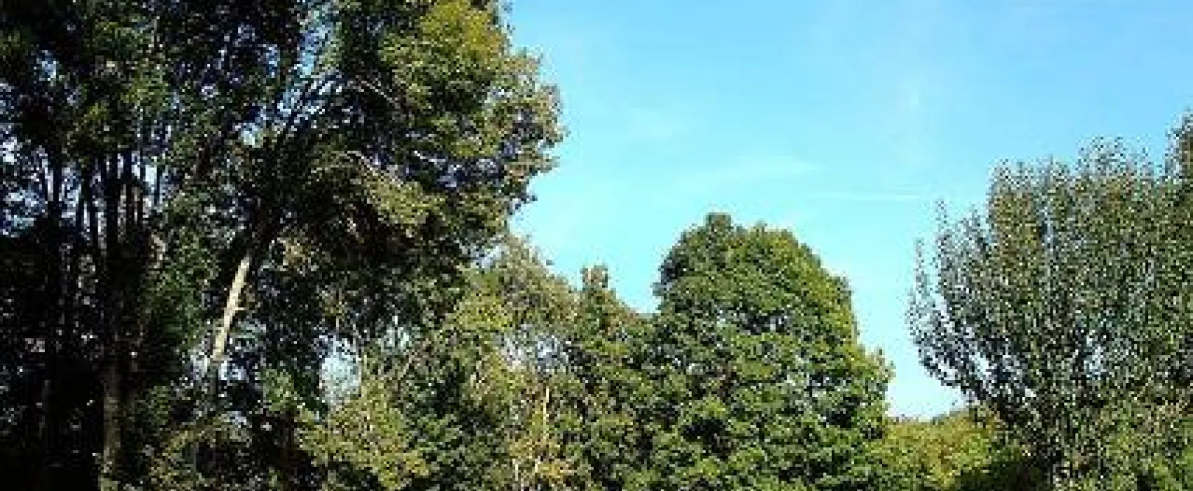 Camping de l'Ardan