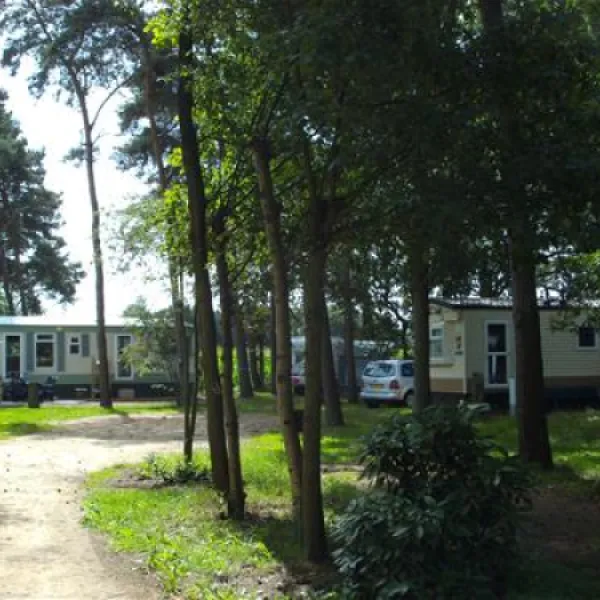 verblijfpark-de-brem-lille-rdxah