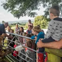 parkers-farm-holiday-park-newton-abbot-vscyk