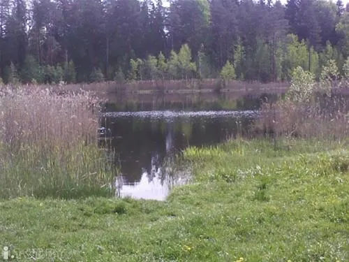 camping-1-kolodnitsa-lqrb9
