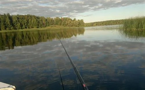 camping-1-kolodnitsa-yrcub