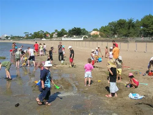 camping-de-la-courance-saint-brvin-les-pins-1otfw