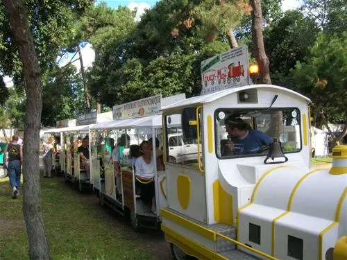 camping-de-la-courance-saint-brvin-les-pins-yonui