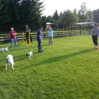 camping-silberborn-holzmindensiberborn-mi1wi