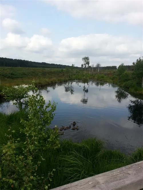 camping-silberborn-holzmindensiberborn-okjnz