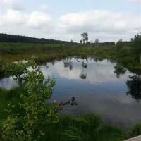 camping-silberborn-holzmindensiberborn-okjnz